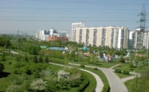 На озеленение московских парков направят дополнительные средства