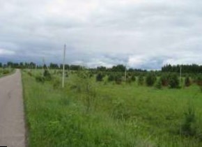Власти Ярославской области выставят на торги земельный участок