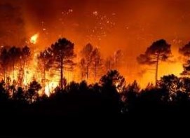 В России снова разгораются массовые лесные пожары