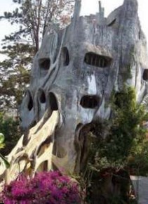 Туристы оценили вьетнамский отель, называемый «сумасшедший дом»