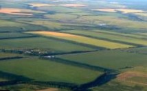 Риелторы нашли самый дешевый земельный участок в Подмосковье
